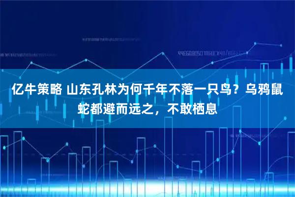 亿牛策略 山东孔林为何千年不落一只鸟？乌鸦鼠蛇都避而远之，不敢栖息