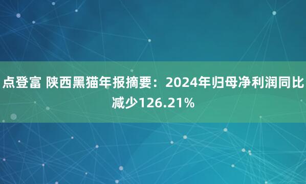 点登富 陕西黑猫年报摘要：2024年归母净利润同比减少126.21%