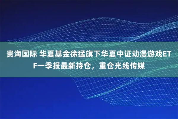 贵海国际 华夏基金徐猛旗下华夏中证动漫游戏ETF一季报最新持仓，重仓光线传媒